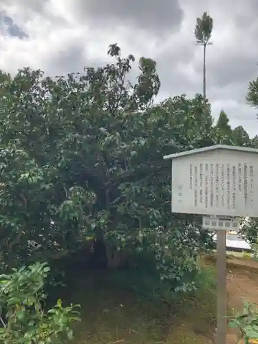 総見院のその他建物