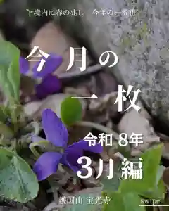 宝光寺(北海道)(2026年03月31日(火) 09時25分03秒投稿)