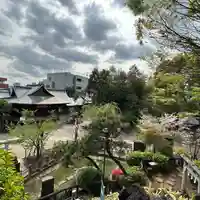 鳩森八幡神社の景色