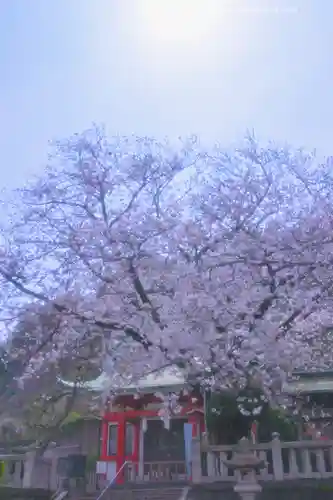 元町厳島神社の自然