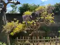 医王寺(千葉県)