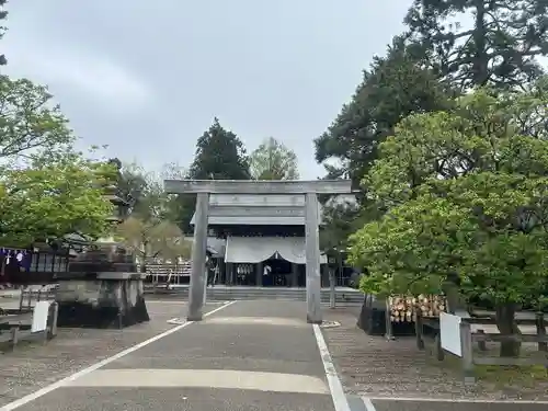 射水神社の鳥居