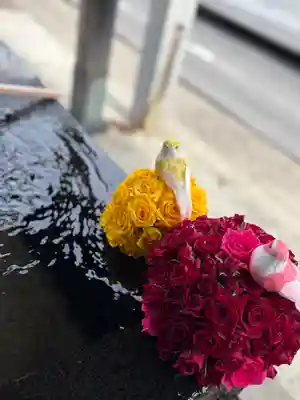 上尾御嶽神社の手水舎