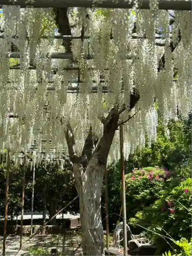 白旗神社(神奈川県)
