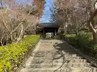 長壽寺(長寿寺)の{uncategorized: "未分類", other: "その他", undefined: "問題あり", building: "その他建物", grave: "お墓", sacred_gate: "鳥居", guardian: "狛犬", statue: "像", buddha: "仏像", history: "歴史", nature: "自然", garden: "庭園", animal: "動物", pagoda: "塔", temizu: "手水舎", mountain_gate: "山門・神門", sanctuary: "本殿・本堂", subordinate: "末社・摂社", art: "芸術", scenery: "景色", jizo: "地蔵", ema: "絵馬", goshuin: "御朱印", omikuji: "おみくじ", items: "授与品その他", amulet: "お守り", goshuincho: "御朱印帳", eats: "食事", festival: "お祭り", votive_dance: "神楽", shichigosan: "七五三参", wedding: "結婚式", experience: "体験その他", initially: "初詣", around: "周辺", anti_infection: "感染症対策"}
