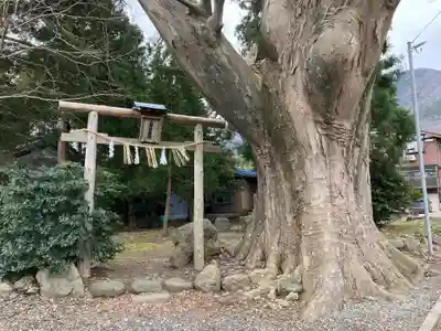 上諏訪神社（彌彦神社末社）(新潟県)