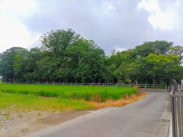 白山社(八幡社)の自然