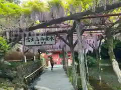 富士山本宮浅間大社(静岡県)