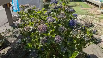 宝壽山 吉祥院の自然