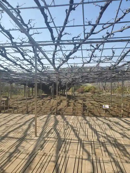 寺岡山元三大師の自然