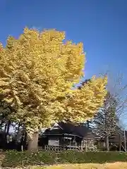 白山神社の自然