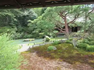 青蓮院門跡(京都府)