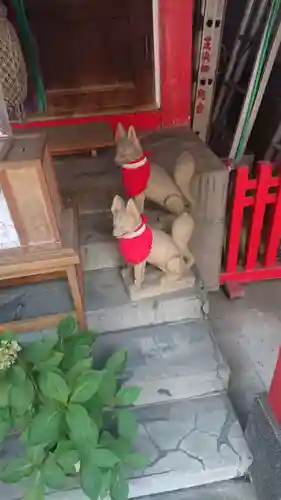 讃岐小白稲荷神社の狛犬