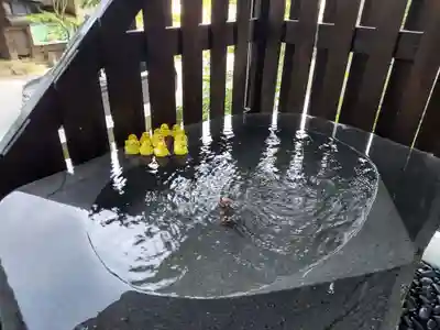 熊野皇大神社の手水舎