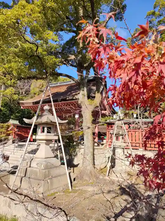 津島神社の自然