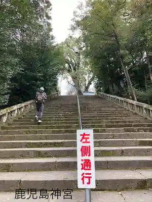 鹿児島神宮(鹿児島県)
