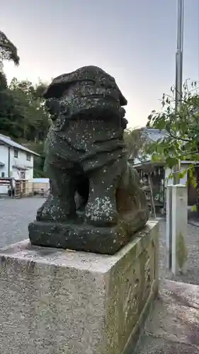 温泉神社〜いわき湯本温泉〜の狛犬