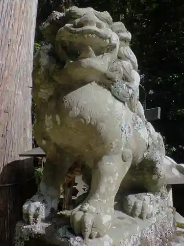 崇道神社の狛犬