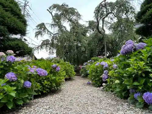 法船寺(長野県)