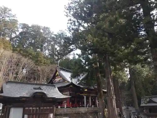 三峯神社(埼玉県)