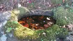 岩神社の手水