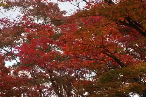 土津神社｜こどもと出世の神さまの自然
