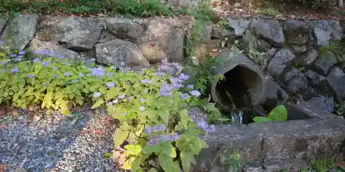出雲大神宮の自然