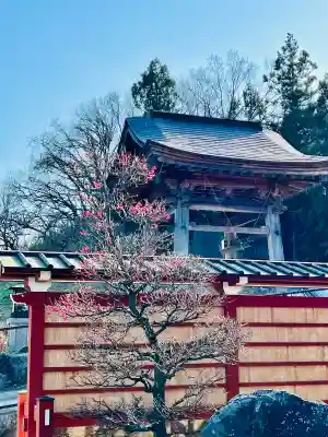 威徳院 極楽寺の{uncategorized: "未分類", other: "その他", undefined: "問題あり", building: "その他建物", grave: "お墓", sacred_gate: "鳥居", guardian: "狛犬", statue: "像", buddha: "仏像", history: "歴史", nature: "自然", garden: "庭園", animal: "動物", pagoda: "塔", temizu: "手水舎", mountain_gate: "山門・神門", sanctuary: "本殿・本堂", subordinate: "末社・摂社", art: "芸術", scenery: "景色", jizo: "地蔵", ema: "絵馬", goshuin: "御朱印", omikuji: "おみくじ", items: "授与品その他", amulet: "お守り", goshuincho: "御朱印帳", eats: "食事", festival: "お祭り", votive_dance: "神楽", shichigosan: "七五三参", wedding: "結婚式", experience: "体験その他", initially: "初詣", around: "周辺", anti_infection: "感染症対策"}