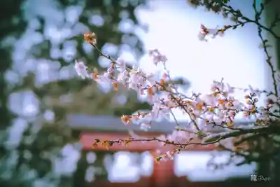 志波彦神社・鹽竈神社(宮城県)