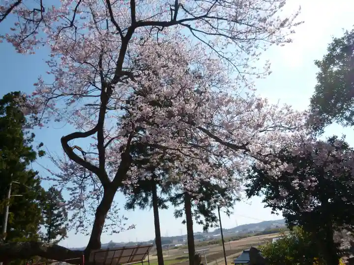 櫻田山神社の自然