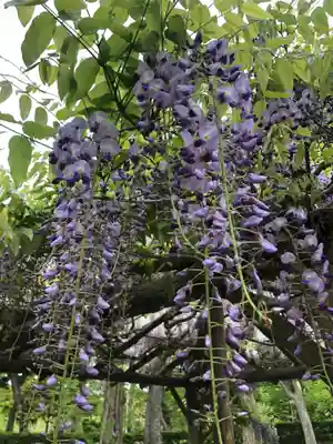 七戸神明宮の庭園
