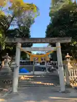 藤井神社(追分藤井神社)の鳥居