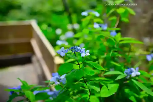 円覚寺(神奈川県)