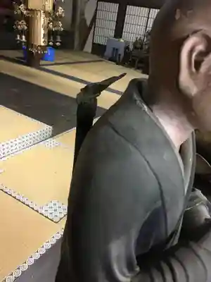 大光寺(大阪府)