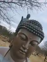 東本願寺本廟 牛久浄苑(牛久大仏)の仏像