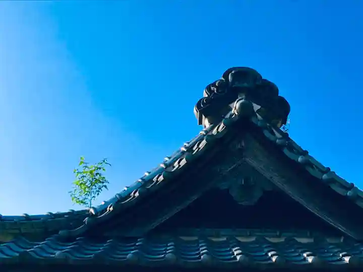 伏木香取神社の自然
