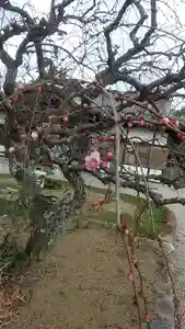 比佐豆知神社(三重県)(2025年02月24日(月) 11時12分24秒投稿)