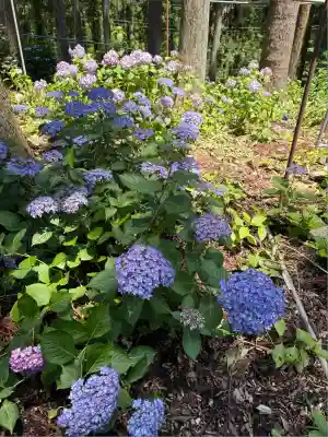 市杵島神社（高萩八幡宮境内社）(茨城県)