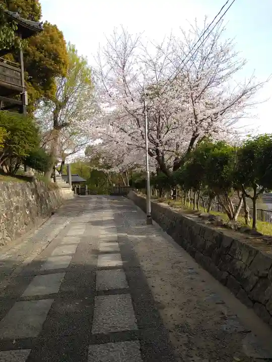 阿智神社の自然
