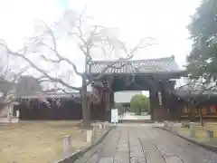 妙覺寺（妙覚寺）の山門