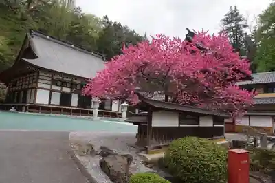法華寺のその他建物