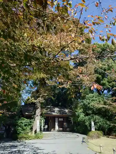 阿佐ヶ谷神明宮(東京都)