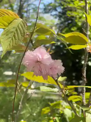 上小倉神社(和歌山県)
