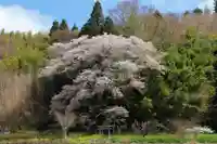 正一位稲荷神社の自然