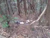 諏訪神社の周辺