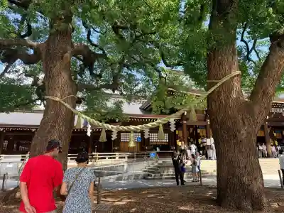 明治神宮(東京都)