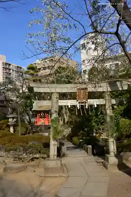天祖諏訪神社の鳥居