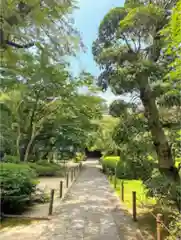 中院の庭園