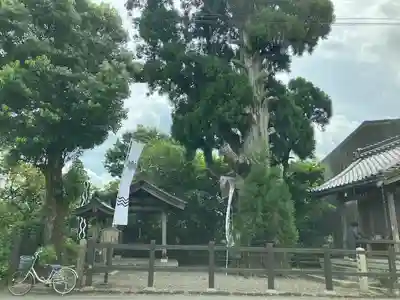 春日神社のその他建物