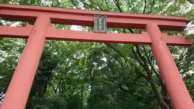 世田谷八幡宮の鳥居